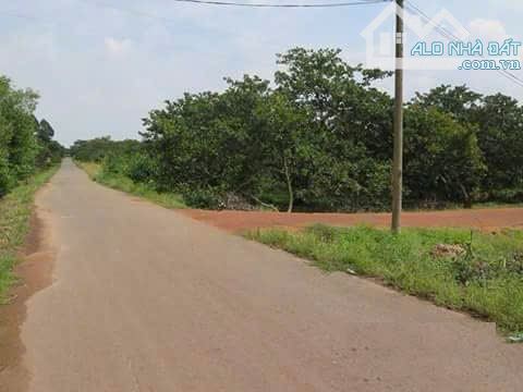 Bán đất mặt tiền An Viễn, Trảng Bom, Đồng Nai; 105 x 100=10.467m, giá 21,5 tỷ - 2