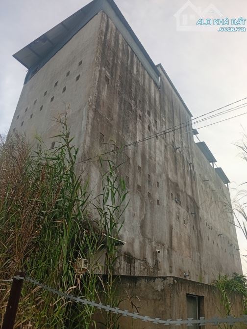 Bán đất DT 962.4m có thổ cư, 290m + nhà yến. Xã Bình Khánh cần giờ TP HCM - 2