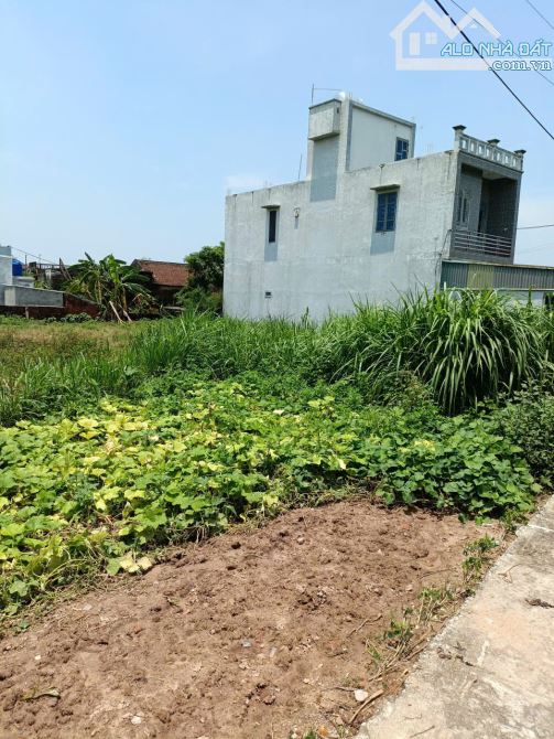Bán Gấp đất -Bình Nguyên,Đường Ô TÔ thông,giá rẻ,đầu tư sinh lời,DT:100m,MT:5m,Giá:830tr - 2