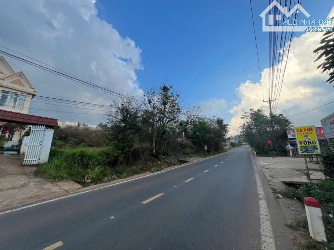 BÁN LÔ ĐẤT NGHỈ DƯỠNG 4600M²–MẶT TIỀN TỈNH LỘ 725, SÁT CHÙA VẠN ĐỨC – ĐÈO TÀ NUNG, ĐÀ LẠT - 2
