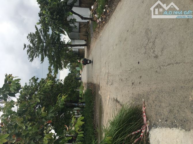 Bán đất 2 MT đường nhị bình 4 hóc môn - 2