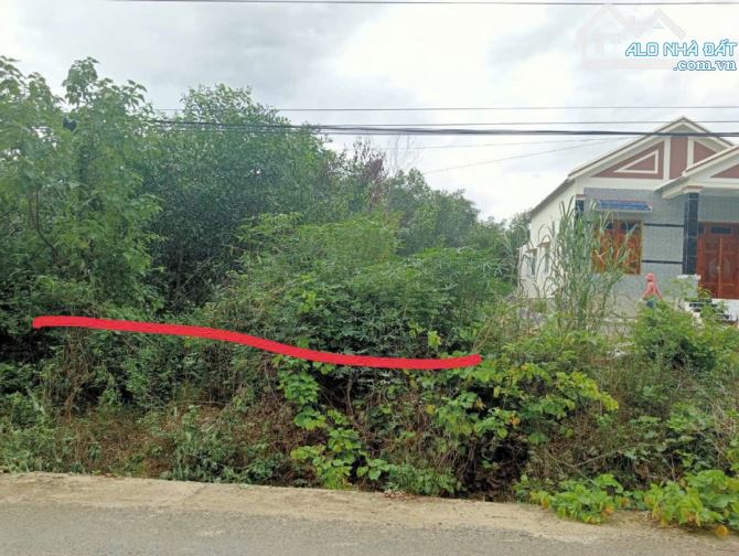 Cần bán lô đất mặt tiền Tỉnh lộ 8C Khánh Hiệp, Khánh Hoà . DT 383,6m2 , thổ 60m2 , giá 460 - 2
