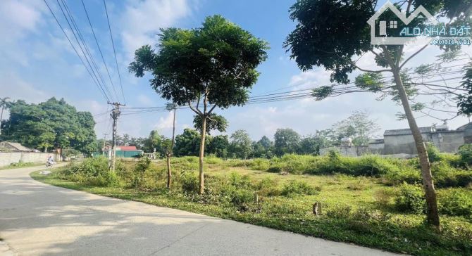 Siêu phẩm cho quý khách thích phân lô 1000m / mặt tiền 44m vuông đét. - 2