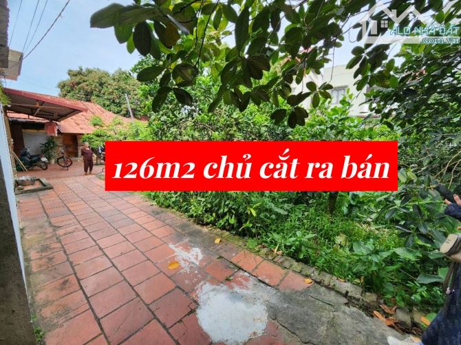 Rẻ nhất Đông Xuân-Sóc Sơn- 126m2-nhỉnh 2 tỷ-oto đỗ cửa-gần trục chính-giá đầu tư - 2