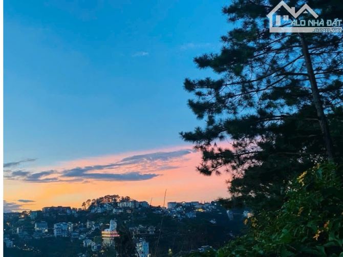 655m2 Đất View thông xanh Hoàng Hoa Thám Phường 10 Đà Lạt 12 Tỷ - 2
