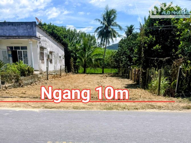 Bán đất Diên Xuân mặt tiền Tỉnh Lộ 8 gần trường cấp II Đinh Bộ Lĩnh - 2