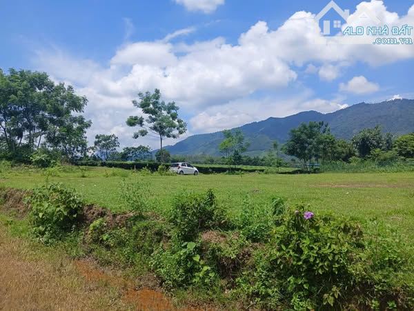 Bán đất 1168m2  Yên Lập - Phú Thọ Giá đầu tư, chỉ 1ty - 2