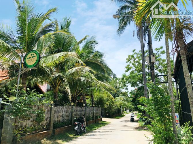 Hoàn toàn đất ở lên đến 2222m mặt tiền đường DX17 Cẩm Thanh Hội An View Dừa Sông - 2