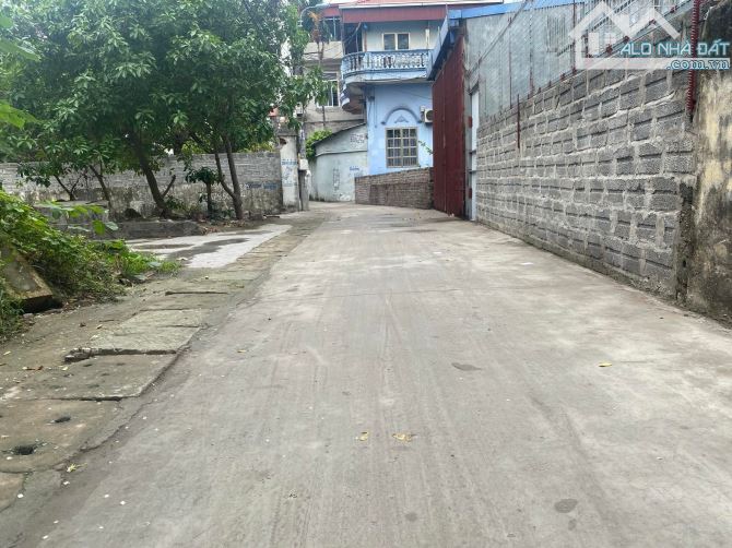 Bán đất ngõ 433 đường 5 cũ Hùng Vương, phường Hồng Bàng 46m2 – tầm tiền hiếm 1,05 tỷ - 3