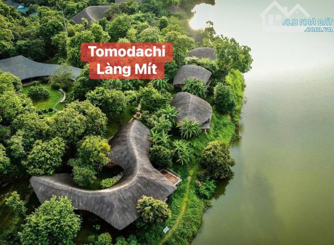🌟 SIÊU PHẨM ĐẤT NỀN – VỊ TRÍ VÀNG TRỤC CHÍNH TRẠI LÁNG 🌟 GẦN TOMODACHI LÀNG MÍT – SÁT TỔ - 3