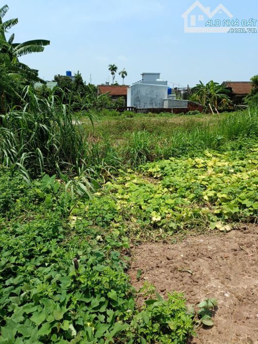 Bán Gấp đất -Bình Nguyên,Đường Ô TÔ thông,giá rẻ,đầu tư sinh lời,DT:100m,MT:5m,Giá:830tr - 3