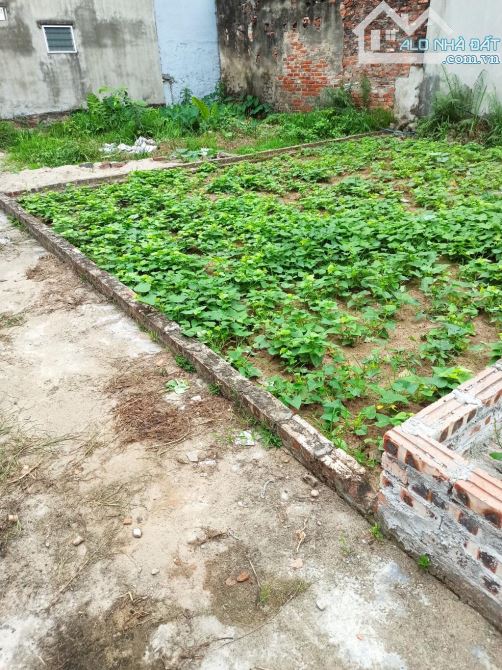 Bán đất 40m2 siêu hiếm tại Dương Xá - Gia Lâm - 3