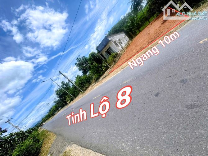 Bán đất Diên Xuân mặt tiền Tỉnh Lộ 8 gần trường cấp II Đinh Bộ Lĩnh - 3
