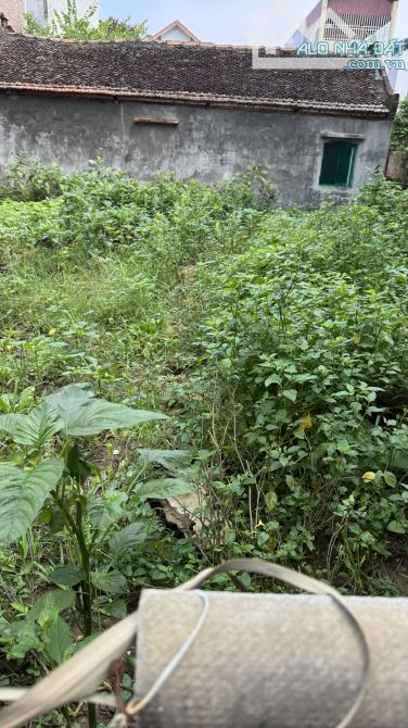 DUY NHẤT 1 LÔ GIÁ TUYỆT CHỦNG  MAI LÂM – ĐÔNG ANH - 3