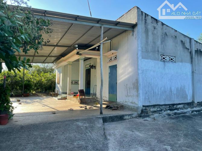 NHÀ VƯỜN VIEW SUỐI CỰC ĐẸP, VƯỜN TRÁI CÂY SIÊU QUẢ, THỔ CƯ KHỦNG, GẦN CAO TỐC