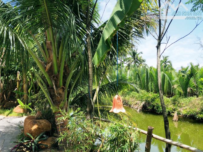 Hoàn toàn đất ở lên đến 2222m mặt tiền đường DX17 Cẩm Thanh Hội An View Dừa Sông - 3