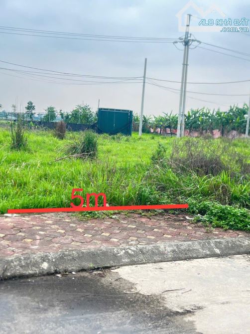 Đấu giá, Hoàng Xá, Khánh Hà, DT: 80m, MT: 5m, giá 4.95 tỷ, phân lô, 2 vỉa hè, kinh doanh - 4