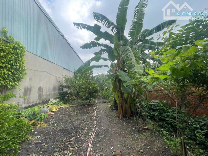✓B.ÁN NHÀ MẶT TIỀN QUỐC LỘ 1A GẦN NGÃ BA YÊN THẾ (CÂY XOÀI) - PHƯỜNG HỐ NAI MỚI •DT: 8 x 6 - 4