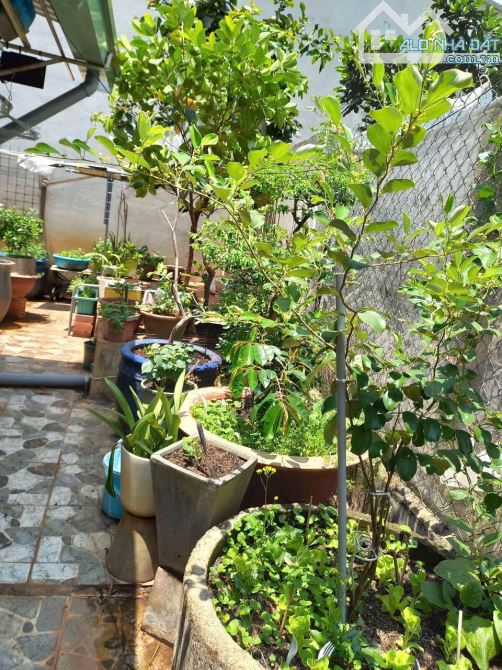 nhà cấp 4 135,4m2 3ty8 TL MT đường Bình Nhâm 62 P.Bình Nhâm Tp Thuận An - 7