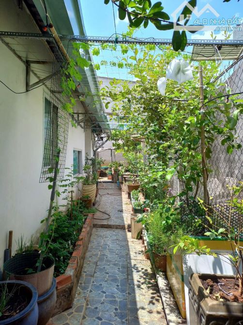 Bán nhà cấp 4 (5x25m), mặt tiền Bình Nhâm 62 p. Bình Nhâm - 7