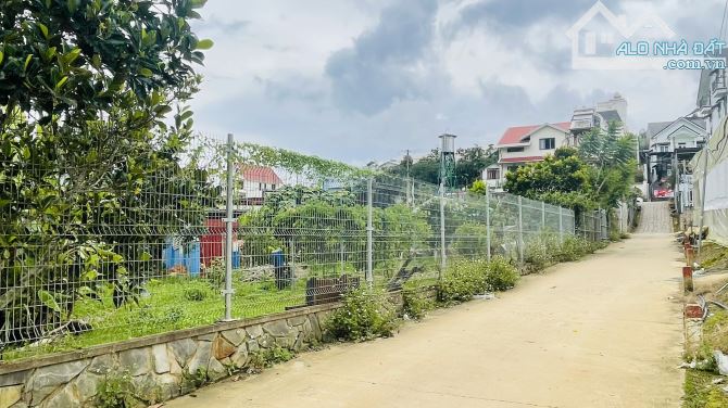 Villa Hạ 10 tỷ sân vườn 1135m² hoàn công 3 tầng, 2 mặt tiền Triệu Việt Vương, Xuân Hương - 7