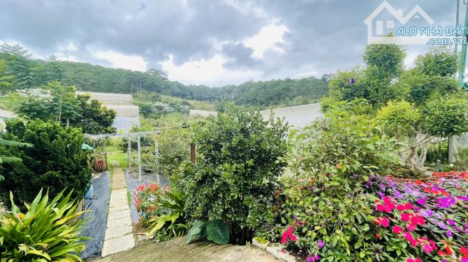 Villa Hạ 10 tỷ sân vườn 1135m² hoàn công 3 tầng, 2 mặt tiền Triệu Việt Vương, Xuân Hương - 9