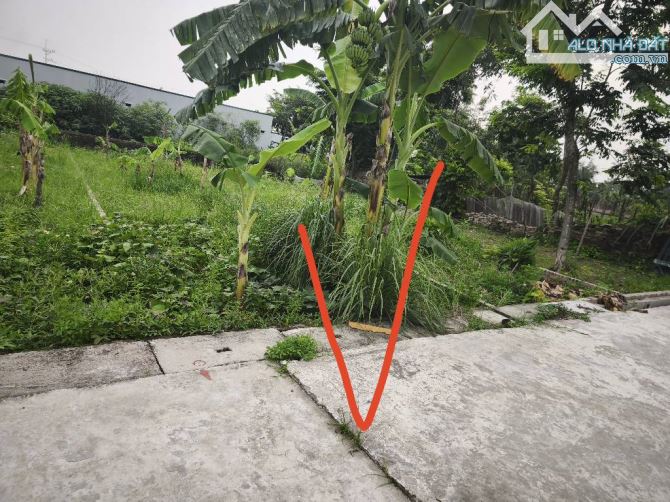 BÁN 74M ĐẤT NGỌC KHÁM -GIA ĐÔNG -THUẬN THÀNH -Ô TÔ VÀO ĐẤT -2.22 TỶ