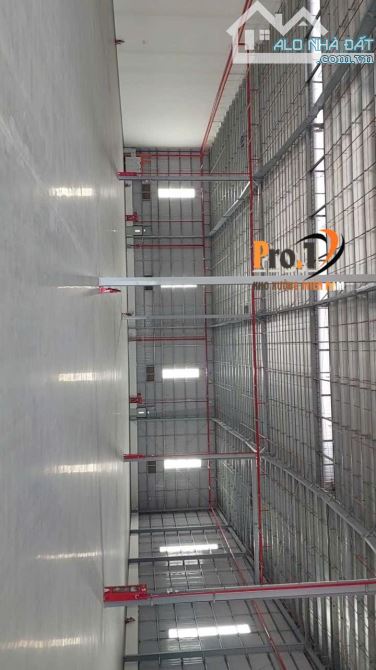 Thông tin Cho Thuê Xưởng trong Khu Công Nghiệp Phú An Thạnh Long An