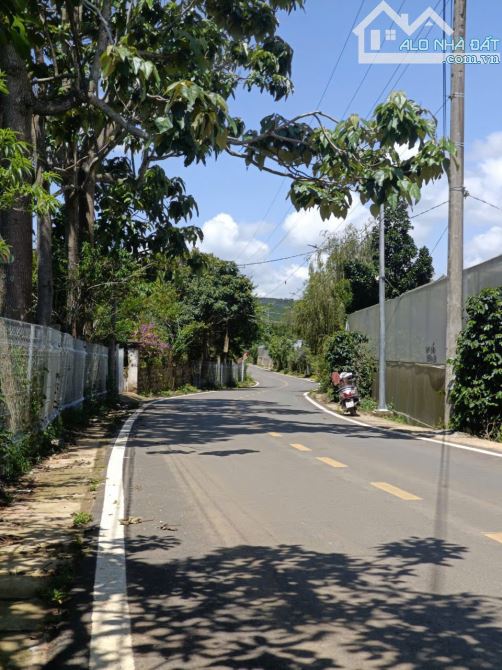 Đất biệt thự đường Măng Lin, P7, Tp Đà Lạt. - 248m2- 6.3 tỷ