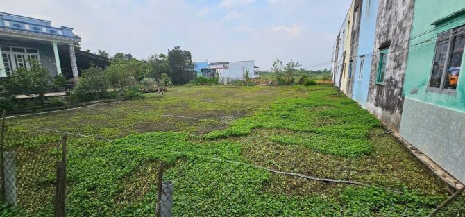 Bán đất (9.8m x 32.2m) Thị Trấn Cần Giuộc, Long An. Sổ hồng riêng, full thổ cư