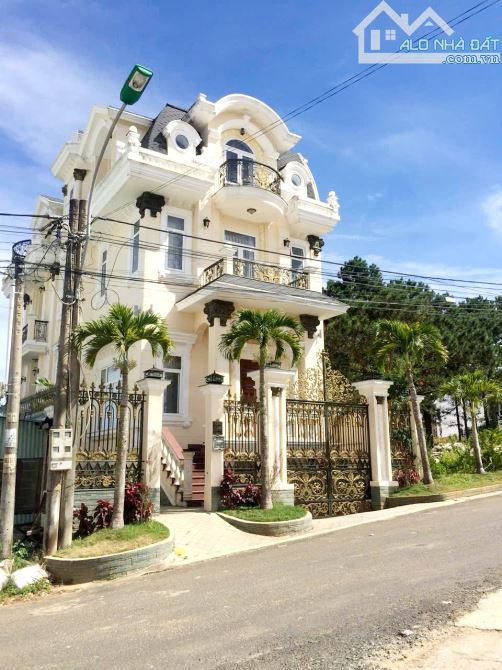 VILLA NGHỈ DƯỠNG SÁT THÔNG XANH VIEW ĐẸP THỰC TẾ SỬ DỤNG LỚN
