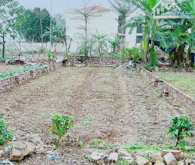 HOA HẬU 2 MẶT NGÕ THÔNG Ô TÔ TẢI TRÁNH NHAU 96M NAM HỒNG ZÁ ĐẸP - 1