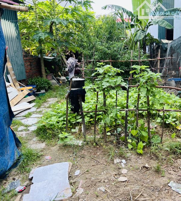 SIÊUU PHẨM LÔ GÓC 3 MẶT THOÁNG Ô TÔ NGỦ TRONG ĐẤT NAM HỒNG 42M ZÁ RẺ - 1