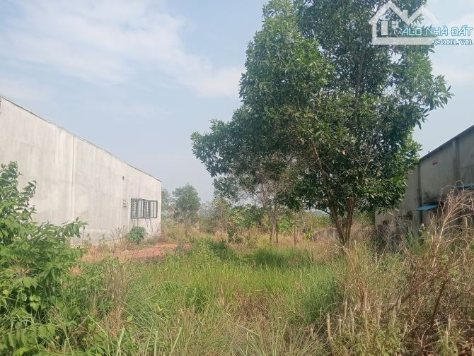 Đất Thành Phố Hồ Chí Minh, đất ở đô thị, xây trọ,kinh doanh 380 triệu. Mua bán Đất tại Huy - 1