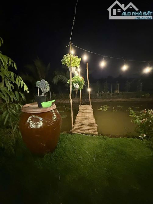 Nhà vuờn 1164m2 giá 4,5 tỷ Tân phước tây_ tân trụ_Long an cực sang trọng Chil chil - 1