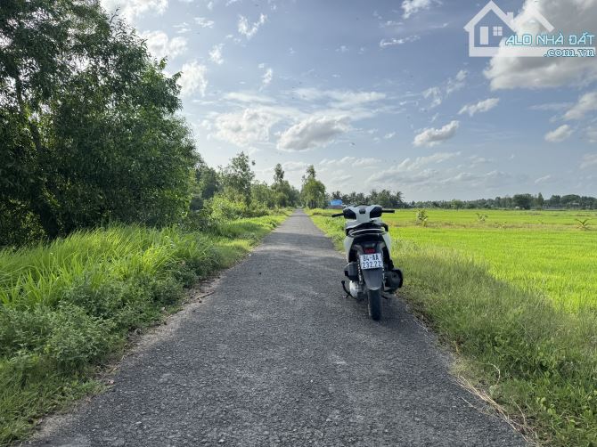 Bán Đất Thổ Cư 7x19/20 Hẻm Nhựa Cách Nguyễn Đáng Nối Dài 120m - 1