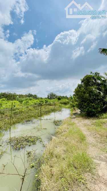 SIÊU PHẨM MẢNH ĐẤT NGHỈ DƯỠNG GẦN 5400m2 CÁCH TRUNG TÂM CẦN THƠ 10KM - 2