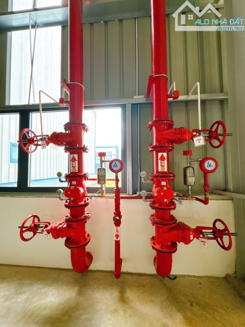 XT430 Cho thuê xưởng sản xuất 1500m2 trong KCN Nhơn Trạch - Tỉnh Đồng Nai - 2