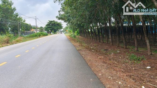 BÁN ĐẤT MT DT749A, LONG NGUYÊN, BÀU BÀNG, DT:20x62, TC100M2, SHR, GIÁ 7,0 TỶ - 2