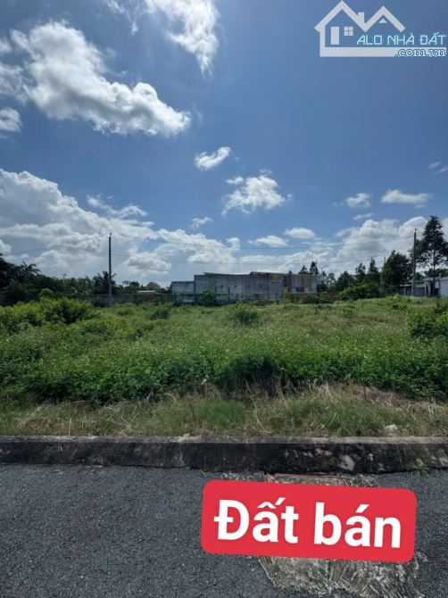 5×23 thổ đường nhựa ấp 10 lương hoà. Bến lức Long An 1,5 tỷ giá rẻ nát khu - 2
