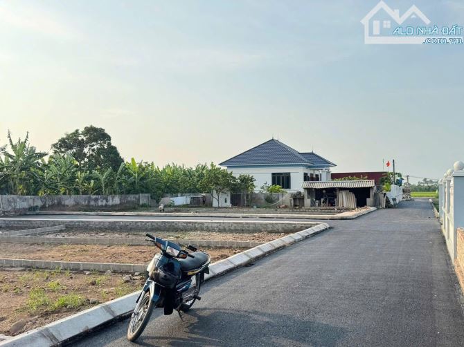 Bán đất Quang Hưng, An Lão, Hải Phòng, 550 triệu, 63 m2, mặt đường nhựa giá rẻ duy nhất - 2