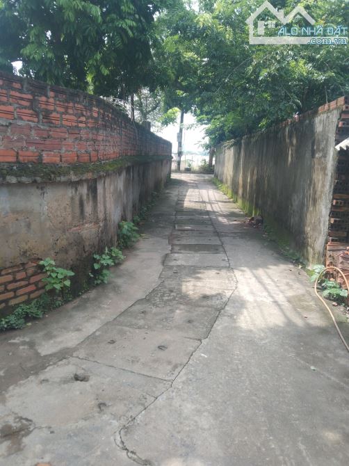 Bán đất 53m² tổ 15 Đồng Mai – Ngõ thông, ô tô đỗ cửa – Giá đầu tư  Chính chủ cần bán nhanh - 2
