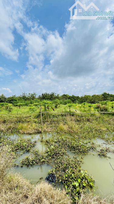 SIÊU PHẨM MẢNH ĐẤT NGHỈ DƯỠNG GẦN 5400m2 CÁCH TRUNG TÂM CẦN THƠ 10KM - 3