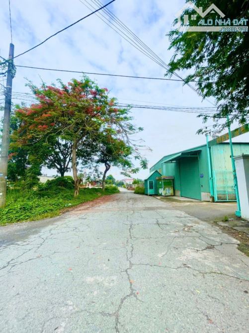 D273 Bán lô đất biệt thự góc 2 Mt 451 m2 cực đẹp ngay khu KDC Quân Đoàn 4 P.Tân Phong .TP. - 3