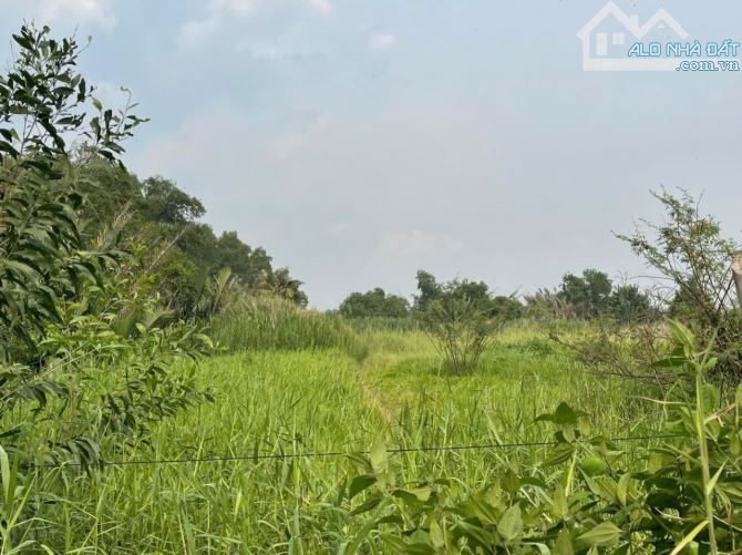 SIÊU PHẨM ĐỘC NHẤT CẦN GIUỘC – 1 MẶT TIỀN SÔNG, 1 MẶT TIỀN ĐƯỜNG – GIÁ CỰC RẺ - 3
