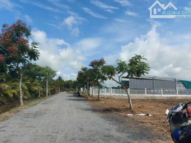 Chủ gửi bán lô đất 500m2 - ngay trường đại học tân đức-khu công nghiệp đức hòa - 3