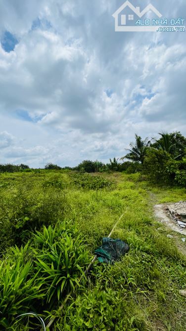 SIÊU PHẨM MẢNH ĐẤT NGHỈ DƯỠNG GẦN 5400m2 CÁCH TRUNG TÂM CẦN THƠ 10KM - 4