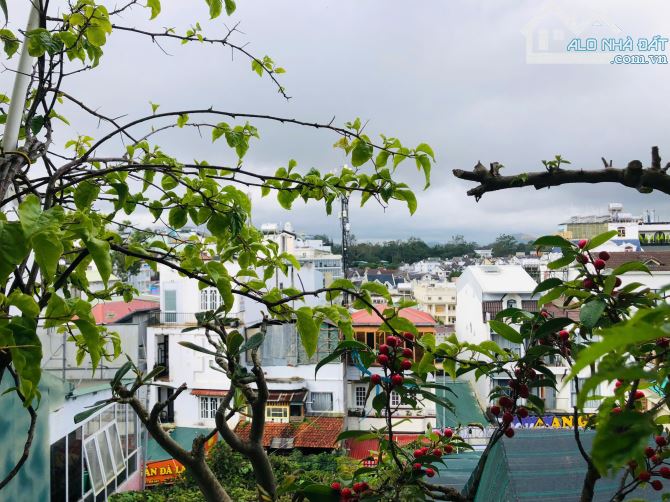HOMESTAY TRUNG TÂM 14 PHÒNG 15WC 86M2 NGANG 4,77M CÁCH CHỢ ĐÀ LẠT CENTER 100M GIÁ 16 TỶ - 4