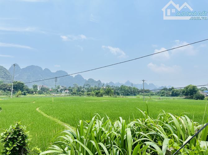 BÁN NHANH SIÊU PHẨM VIEW CÁNH ĐỒNG CÓ DT 763m2 GIÁ CHỈ HƠN 2 TỶ - 5