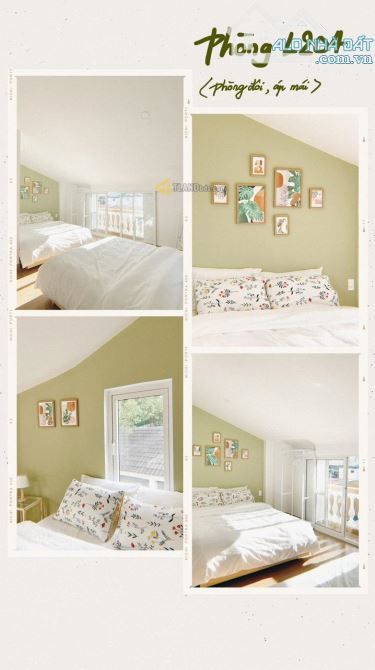 HOMESTAY TRUNG TÂM 14 PHÒNG 15WC 86M2 NGANG 4,77M CÁCH CHỢ ĐÀ LẠT CENTER 100M GIÁ 16 TỶ - 9